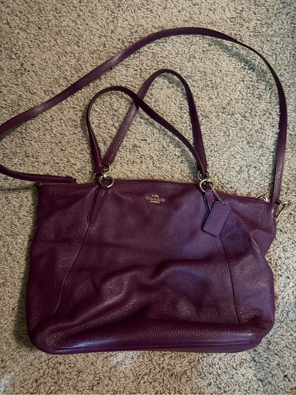 Coach Kelsey Pebbled Leather Tote in Plum